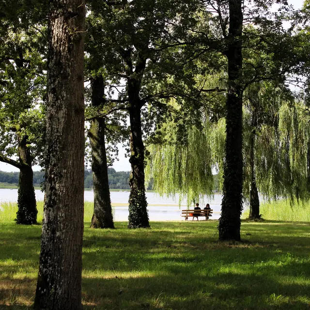 Photo - Etang du Puits