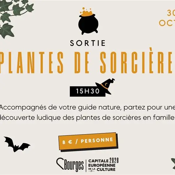 SORTIE CHAMPIGNON & SORCIERE PAYSAGE (2) 1