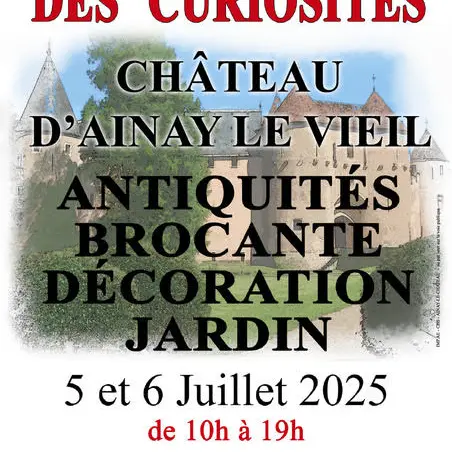 Salon des Curiosites