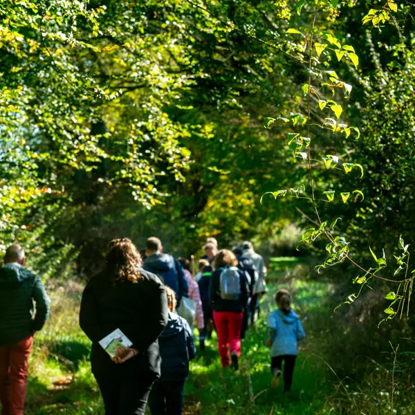 Visite bocage générique
