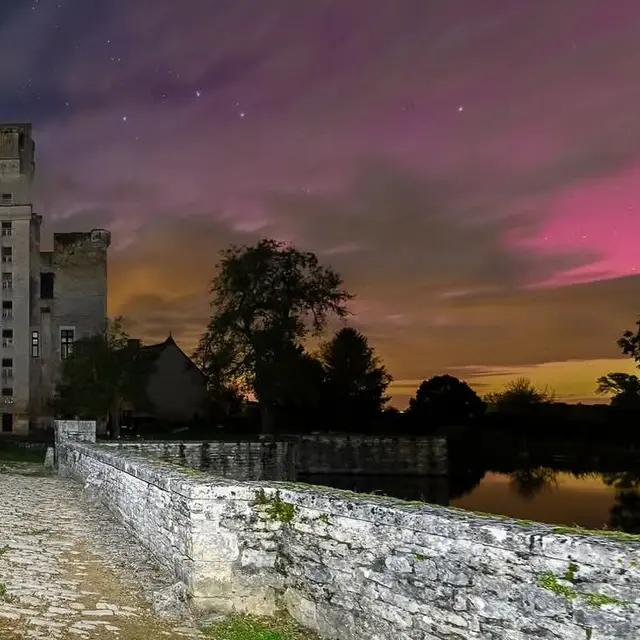 agriberry 2 zsagonne nuit