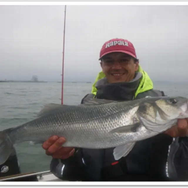 Bretagne Esprit Peche - La Trinite sur Mer - Morbihan Bretagne Sud