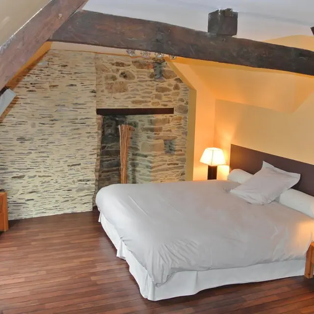 Chambre Olivier de Kersauzon - L'Annexe