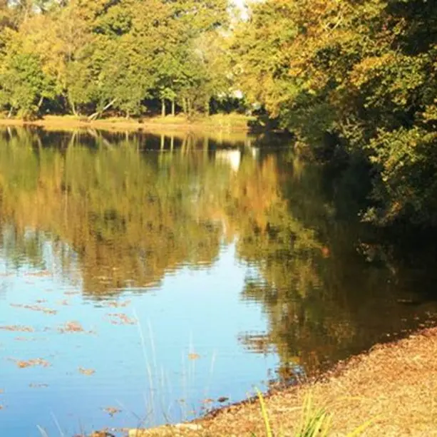 Etang de Kernevy - Saint-Dolay - Morbihan Bretagne Sud