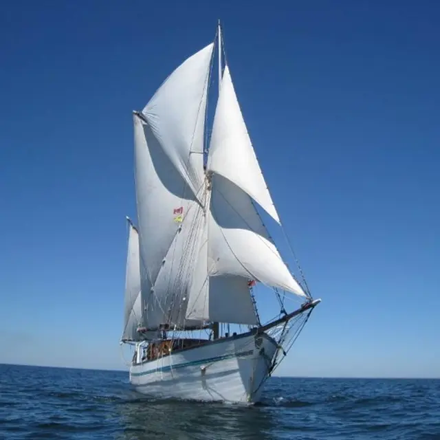 toutes voiles dehors.,il a fière allure!
