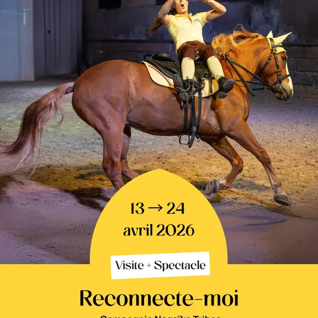 spectacle Reconnecte-moi