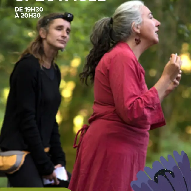 Les Demoiselles de la nuit