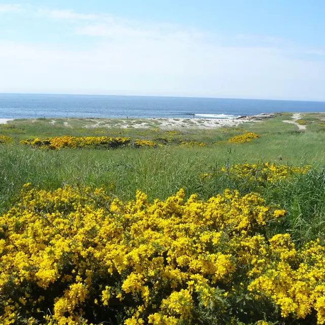 Plage-des-Kaolins-Ploemeur-Morbihan-Bretagne-Sud