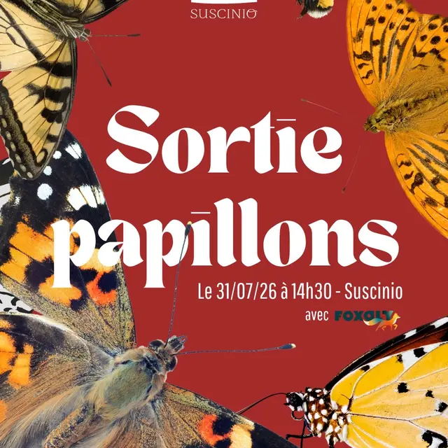 Sortie papillons