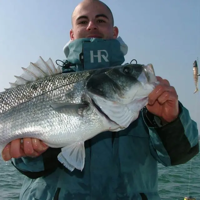 Bar-Ouf-Pêche-arzon-morbihan-bretagne sud