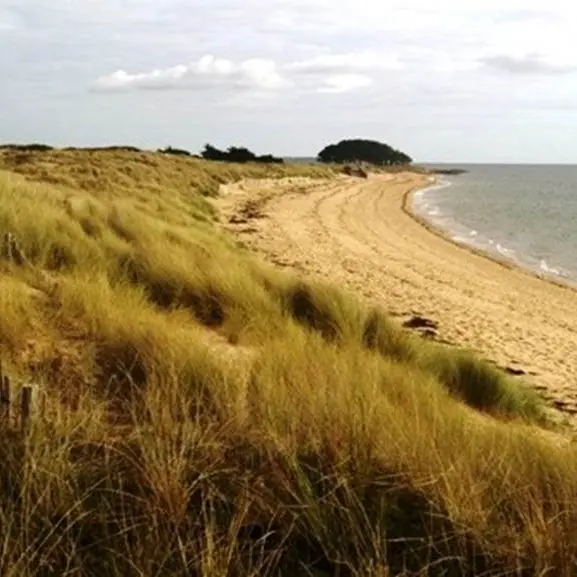 Loperec Kerpenhir Locmariaquer - Morbihan Bretagne Sud
