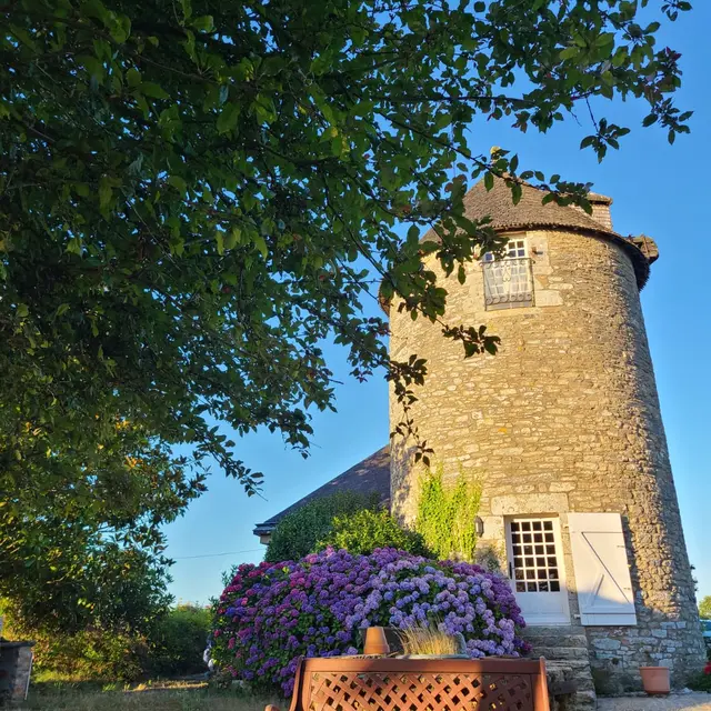 8ad888a1-84b8-42b6-9912-9304236c12a2