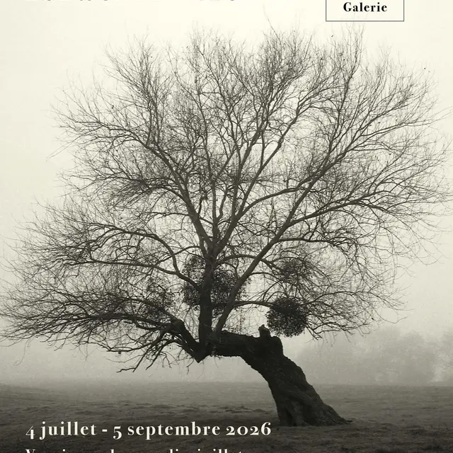 Expo Douarnenez Israel Ariño