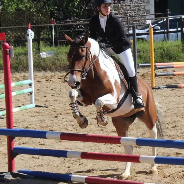 -Centre-equestre-plerguer