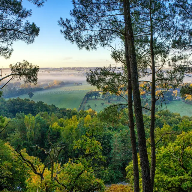 Panorama depuis le Tertre Gris