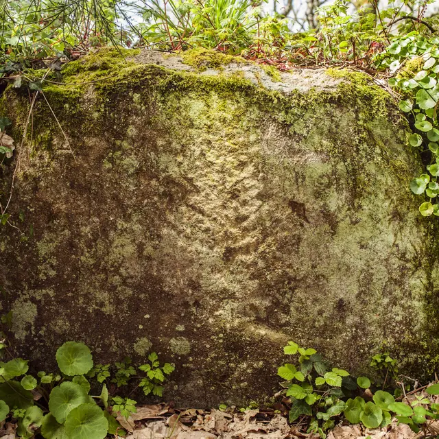 _DSC3448 copie.jpg_compressed