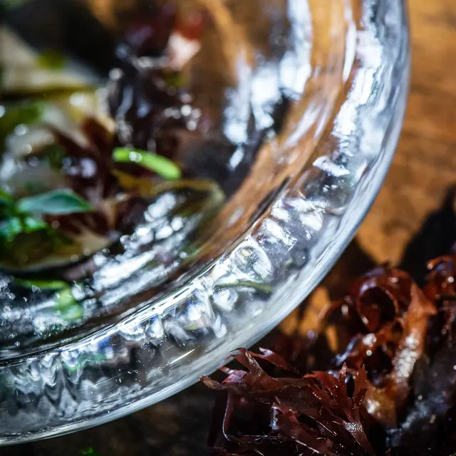 Le Coquillage - Saint Méloir des Ondes