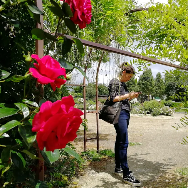 Jardin médiéval Bédée