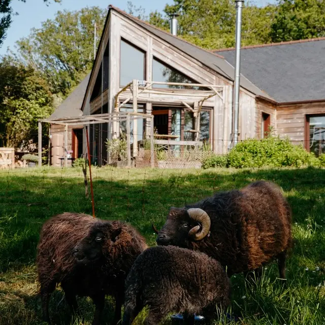 Maison - Bain d'Argile