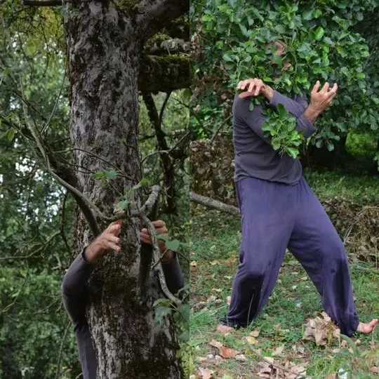 1 - COMPAGNIE DU CHORATRE - ®José-luc Manzanares