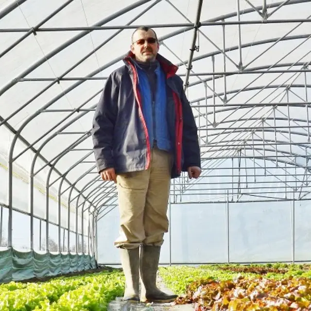 maraîcher_breteil_Jean-Yves Roump (6)