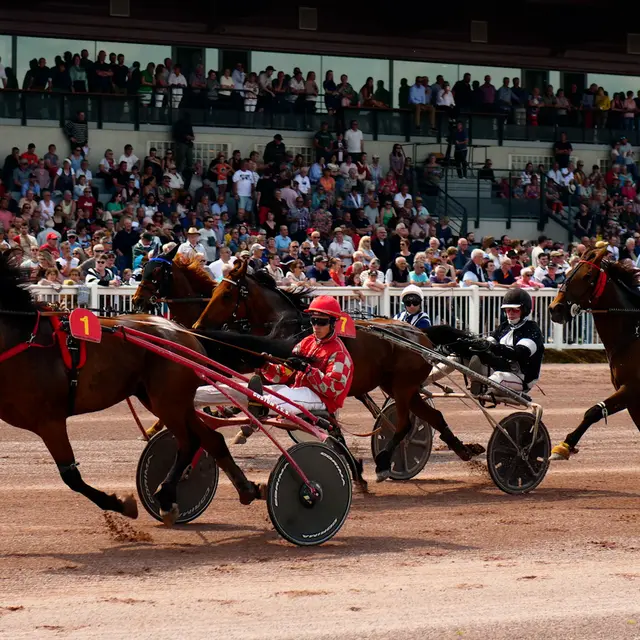 AGEFF PROD - HIPPODROME MAURE DE BRETAGNE