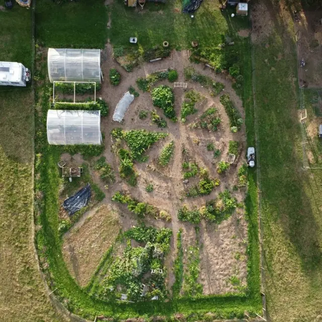 12-potager-en-forme-mandala-edited-768x768