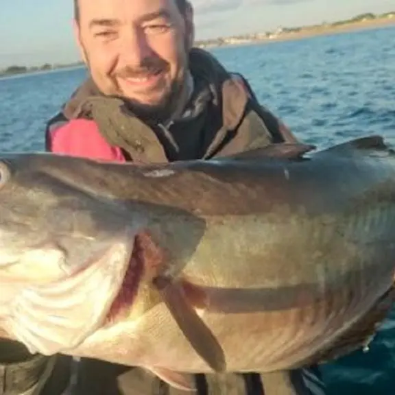 A-Fun-Fish-JC-Vincent-Plouhinec-Morbihan Bretagne Sud