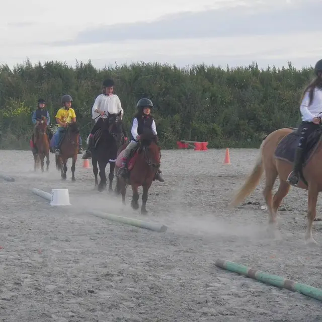 Maestria-Equitation-Sarzeau-Presqu'île-de-Rhuys-Golfe-du-Morbihan-Bretagne sud