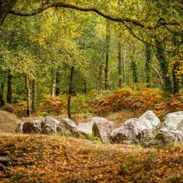 Jardin aux moines - Néant sur Yvel - Brocéliande - Morbihan