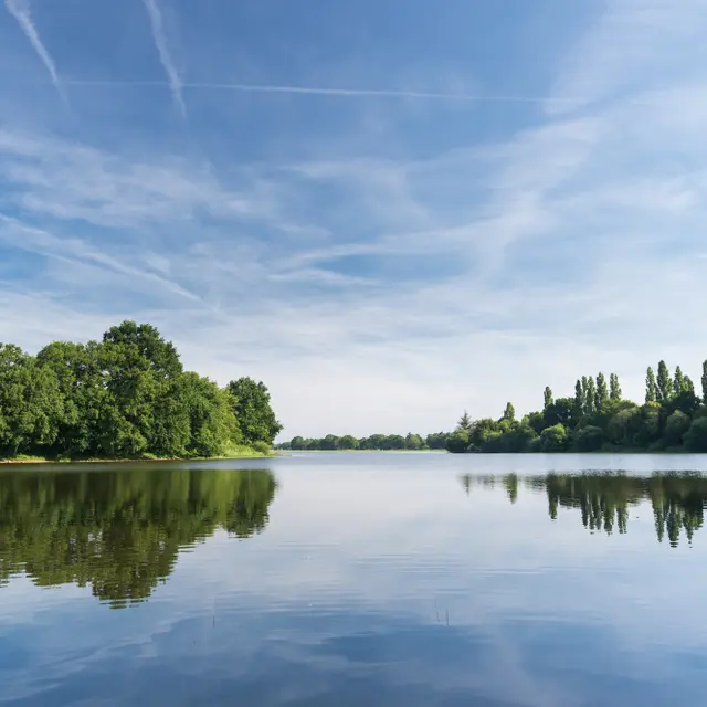 Etang de Châtillon-en-Vendelais