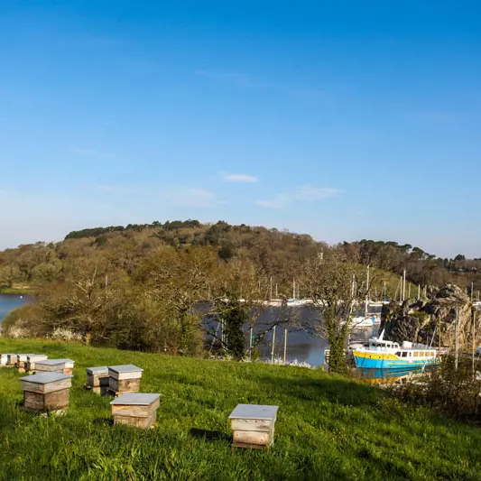la Maison de l'Abeille