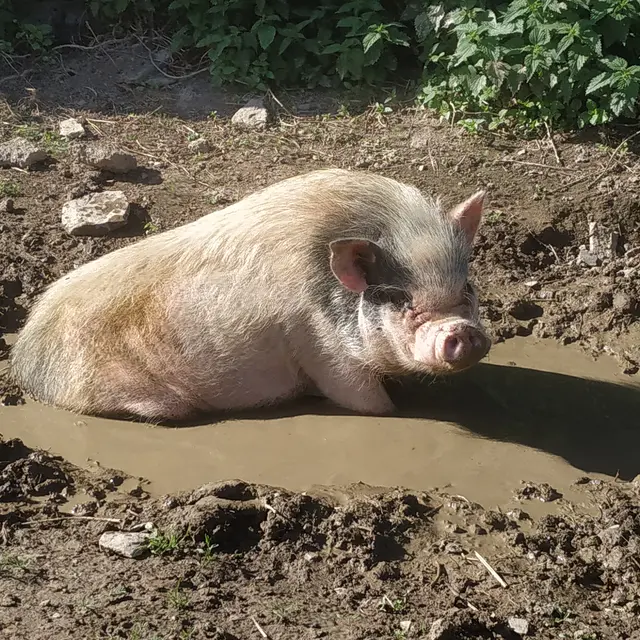 L'arche de Ma nature