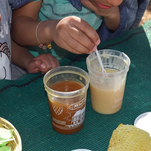 dégustation de miel