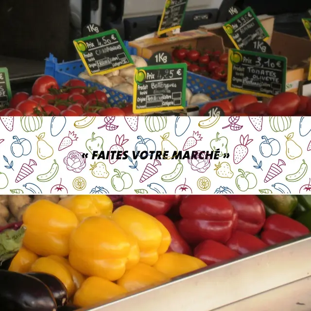 Photo site internet - 4