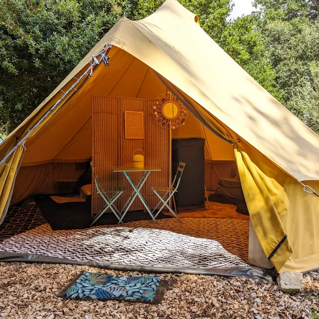 2025_HLO_BDC_COLLECTE_TY_DANA (1)