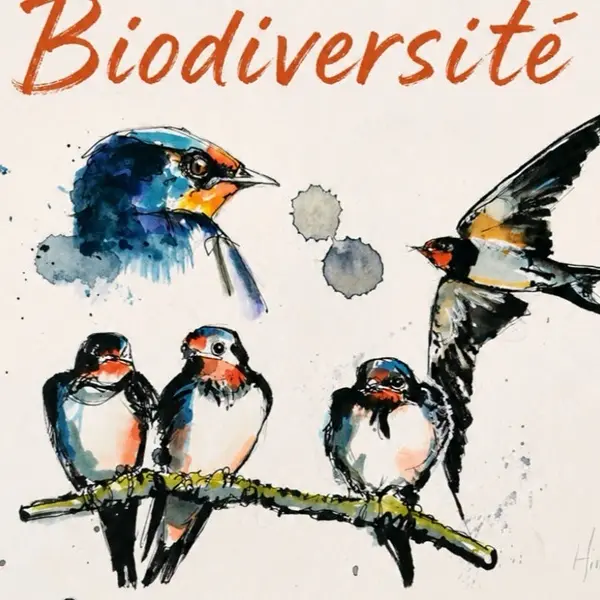 exposition_vanessabelleperche_biodiversité_concoret_DestinationBroceliande