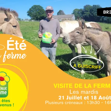 2026_Ete_Guiscriff_Visite_Ferme