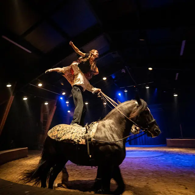 Grand spectacle équestre de Noël