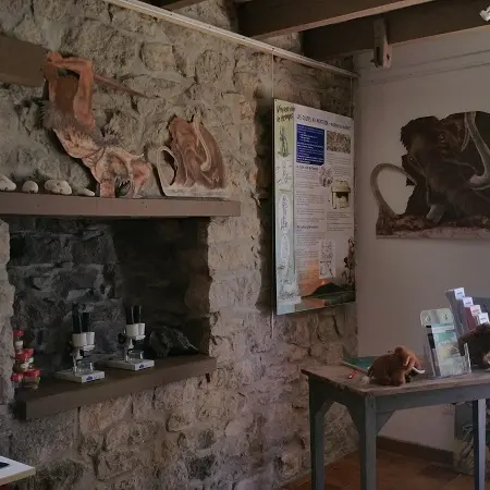 Musée-Musée du Tertre-Mont-Dol