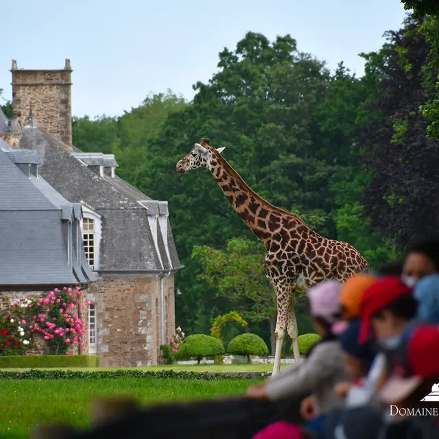 Zoo - Domaine de la Bourbansais - Pleugueneuc