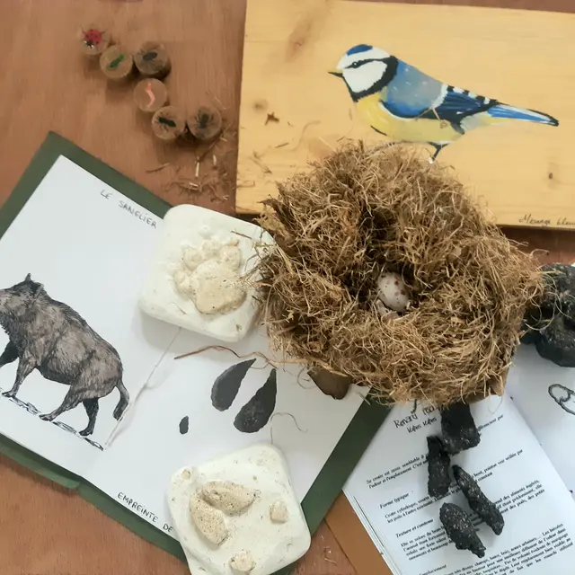 jeu de piste - nid d'oiseau