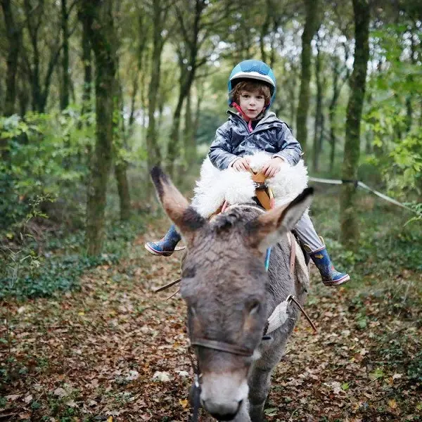 domaine de Kernanou - activités équestres - Ploërmel - Brocéliande – Bretagne