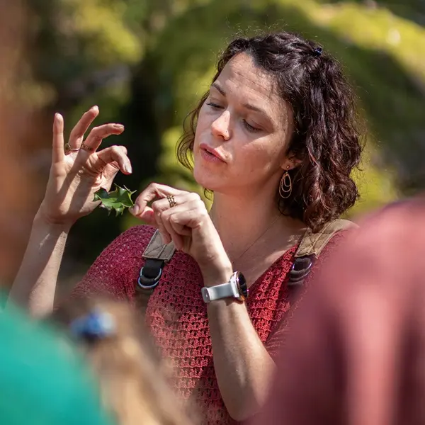 Balade-contée_Val-sans-retour_Brocéliande_les-escapades-de-Julie_Tréhorenteuc