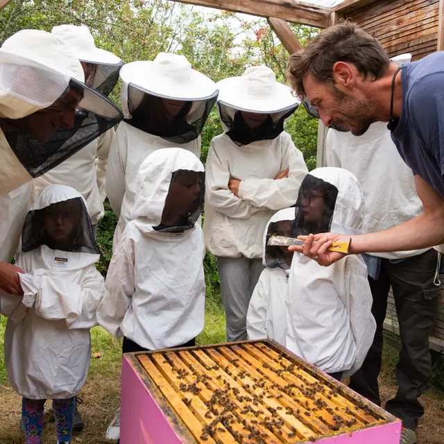 VISITE DU RUCHER DE L'ABEILLE NOIRE-LE PALAIS