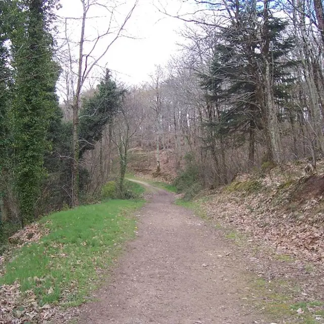 Bois de Kermen - Lanester - Morbihan Bretagne sud
