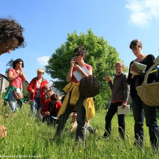 auxbonnesherbes bais