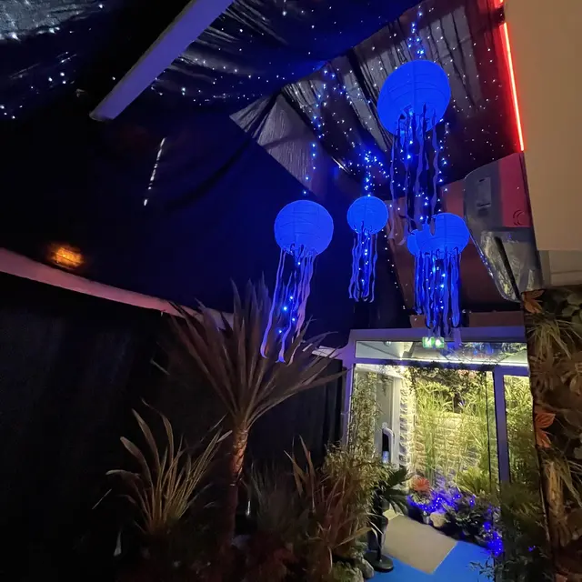 320400450_6117183311645222_2682159989768996745_n