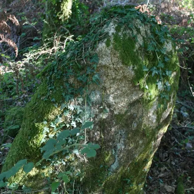 menhir loge au loup Trédion Morbihan Bretagne-sud