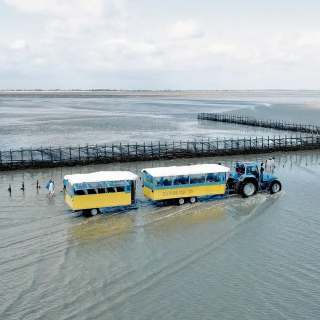 train marin filière affaire
